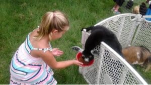 Playing with Goats - Langhorne Summer Program for Elementary Students