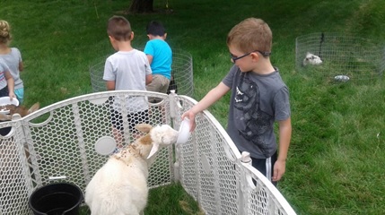feeding goats childrencentral.net